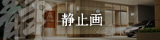 静止画